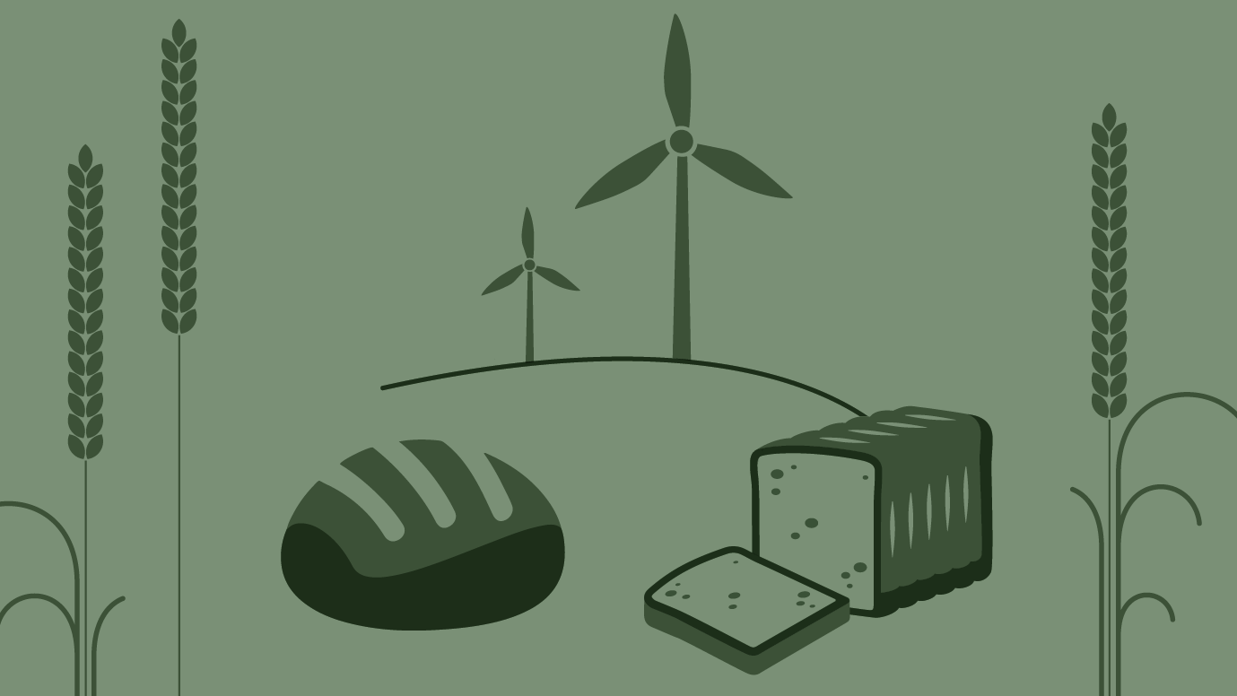 Nachhaltigkeitsbroschüre Harry